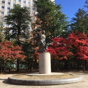 Meet your Posher, Korellia